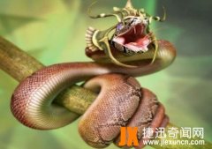 绿茸线蛇，能活到20万年