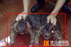 水鬼是水猴子吗？水鬼图