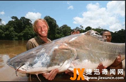 世界上十大最凶猛的鱼有