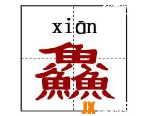 世界上最难的汉字，龖鱻猋麤骉(一字不识)