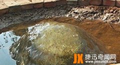 <b>武清村民挖出800斤太岁 价值数千万</b>