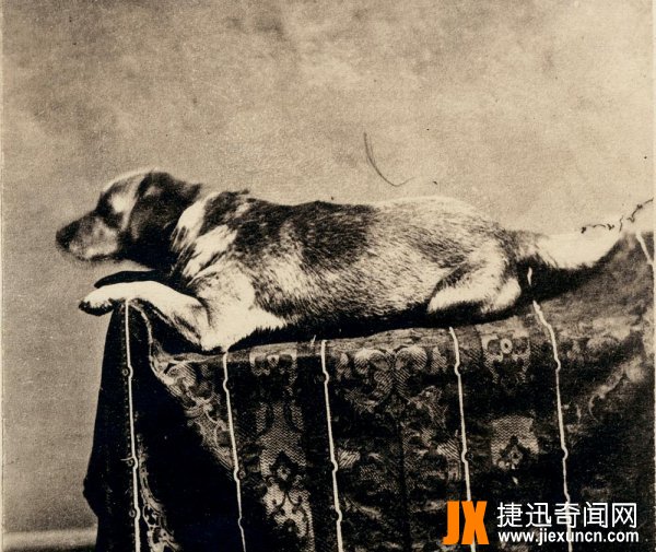 关于林肯的20个小故事