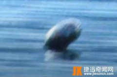 加拿大奥古布古水怪存在吗?传言其3周现