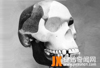 皮尔丹人   www.jiexuncn.com