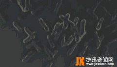 科学家在地下一万多米,发