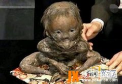 神秘的杜立巴人到底存在吗？