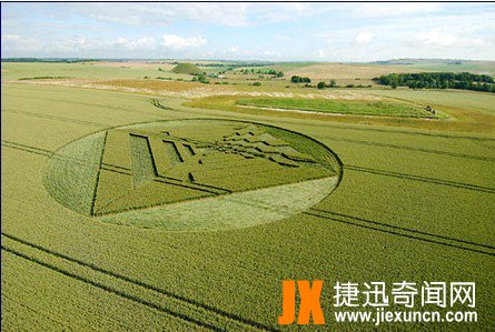 资料图：三维立体麦田怪圈