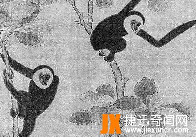 始皇祖母陪葬墓发现已灭绝新种属长臂猿遗骸