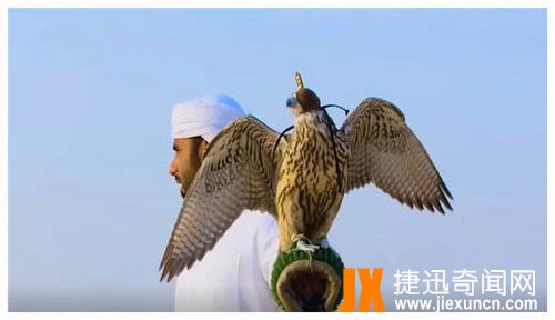 见识下最费钱的宠物,唯迪拜土豪专属