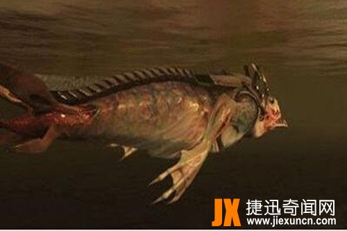 铜山湖水怪！揭秘河南泌阳县铜山湖水怪事件！