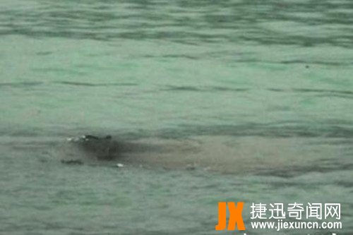 铜山湖水怪！揭秘河南泌阳县铜山湖水怪事件！
