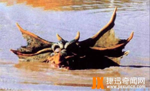 幻兽本耶普,潜伏在湖泊河流和沼泽中的水陆两栖怪兽