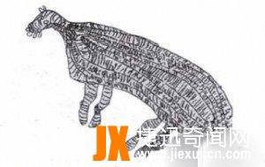 幻兽本耶普,潜伏在湖泊河流和沼泽中的水陆两栖怪兽