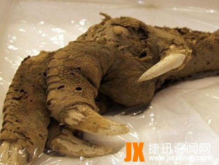 “地球上最神秘”的7个考古发现