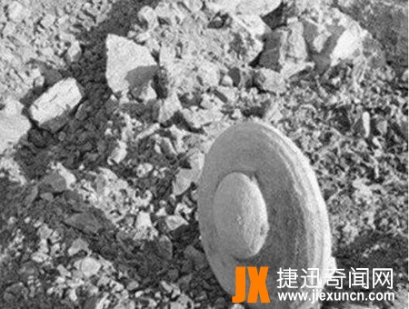 杜力巴石蝶之谜解密,杜力巴石蝶真相