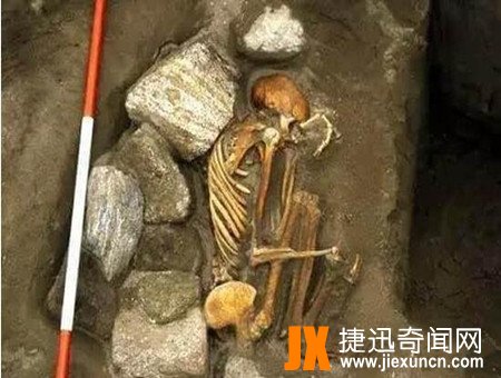 杜力巴石蝶之谜解密,杜力巴石蝶真相
