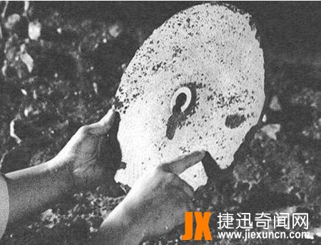 杜力巴石蝶之谜解密,杜力巴石蝶真相