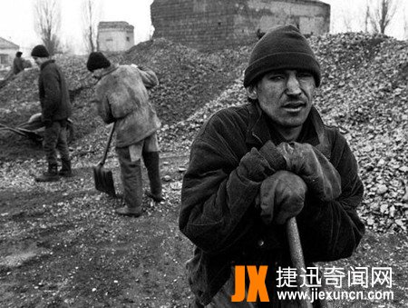 杜力巴石蝶之谜解密,杜力巴石蝶真相