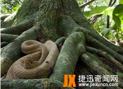 世界十大恐怖圣地,令进入者毛骨悚然,极度恐怖!