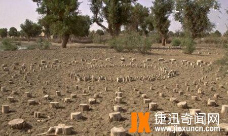 罗布泊太阳墓之谜：已有3800年之久,神秘用途尚不清楚