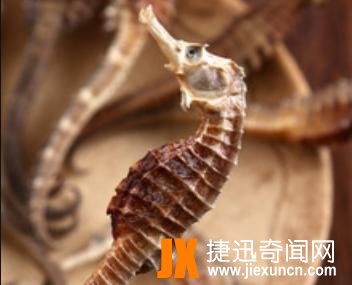 世界五大名贵中草药,最贵的中药材每斤40万