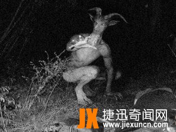 美国山羊人是真的吗，山羊人的诡异事件真相(怪物图片)