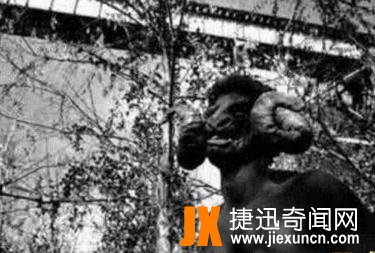 美国山羊人是真的吗，山羊人的诡异事件真相(怪物图片)