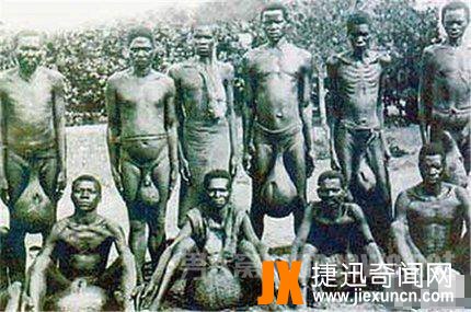 神秘的北非“巨蛋族” 蛋蛋大到能当椅子