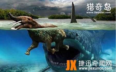 远古十五大鲨鱼排名