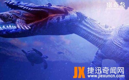 远古鲨鱼排名、十大最强海底巨兽