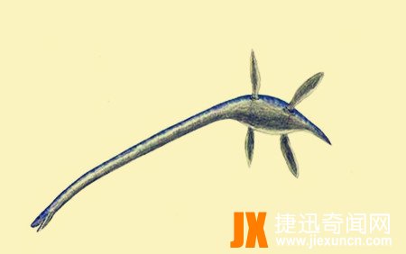 远古十五大鲨鱼排名