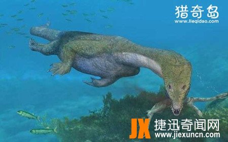 远古鲨鱼排名
