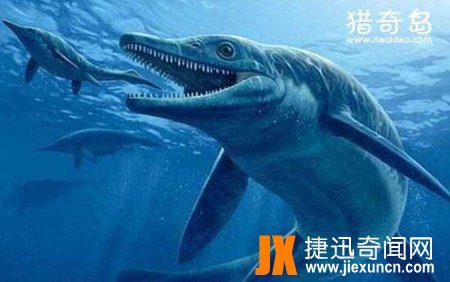 远古鲨鱼