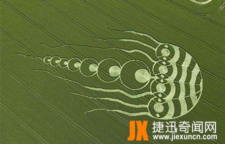 最恐怖的麦田怪圈,最恐怖的麦田怪圈 哪里