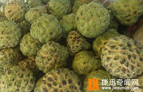 释迦果