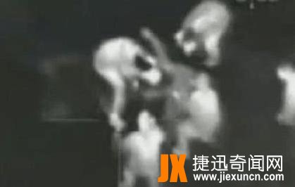 苏联十大恐怖实验,一个月不睡/狗头分离(简直丧心病狂)