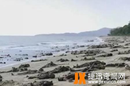 史上最大的鳄鱼吃人事件,兰里岛战役让日军谈之色变的"死亡岛"