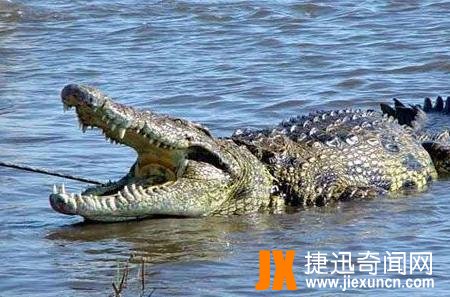 史上最大的鳄鱼吃人事件,兰里岛战役让日军谈之色变的"死亡岛"