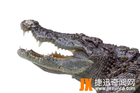史上最大的鳄鱼吃人事件,兰里岛战役让日军谈之色变的"死亡岛"