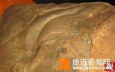 千年古墓走出活女尸