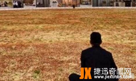 世界上最大的披萨,直径40米比篮球场还要大