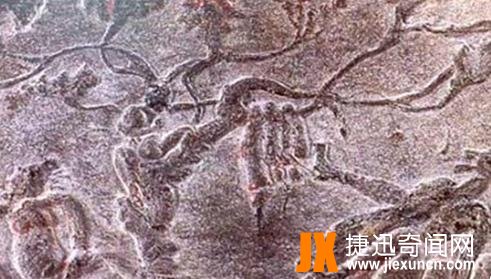 扶桑树是什么树?关于神话扶桑树的传说