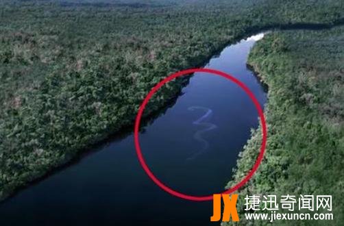卫星拍到巨蛇1998 射阳大蛇事件