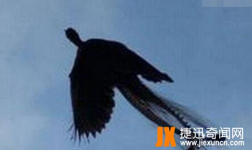 青海湖拍到真龙：青海湖有龙的传说传闻
