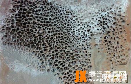 十宗罪玉米男孩真实事件，密集恐惧症人群慎入(图片)