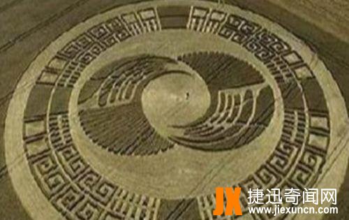 麦田怪圈图片