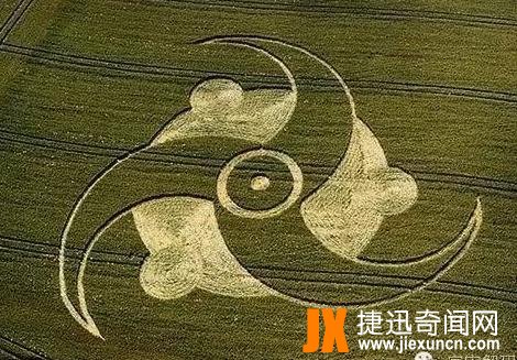 麦田怪圈图片