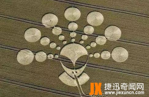 麦田怪圈图片
