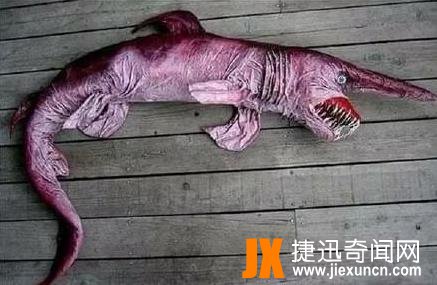深海异形哥布林鲨