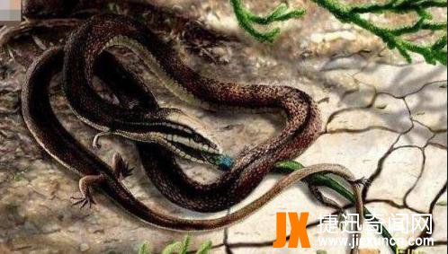 真足蛇有没有灭绝：远古时期已灭绝的有脚蛇类(真足蛇照片)